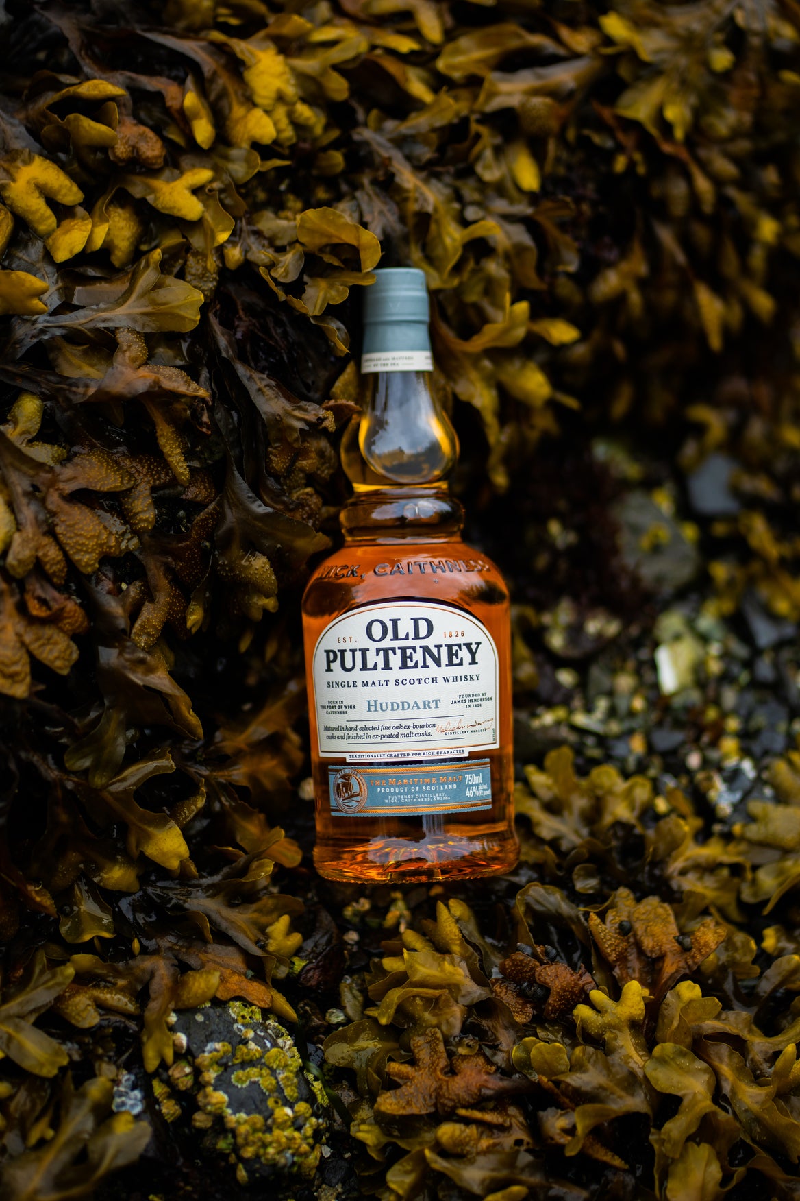 OLD PULTENEY Huddart & 15年 2本セット OLD PULTENEY Huddart & 15年 2本セット Whisky Old Pulteney Harbour
